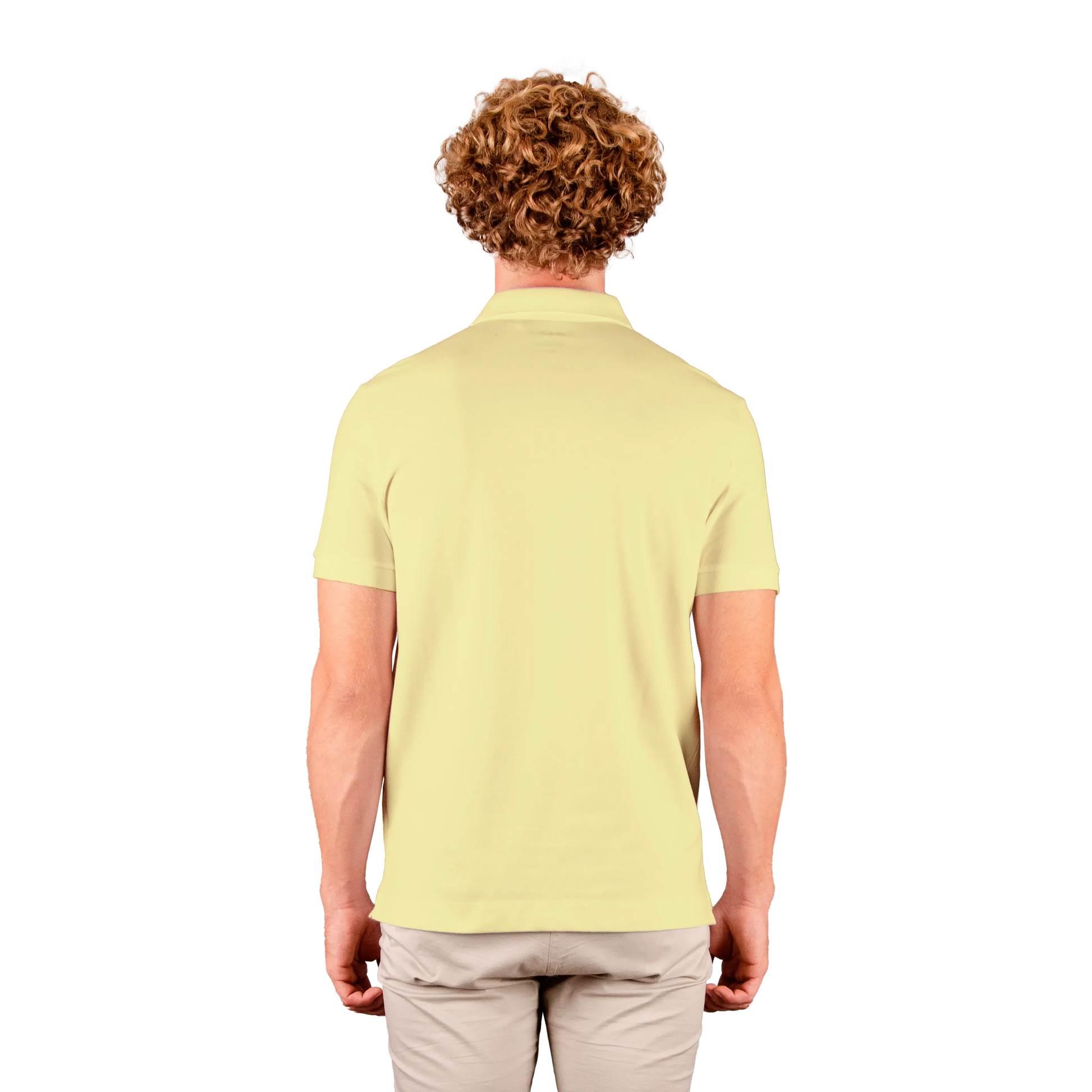 SAFARI